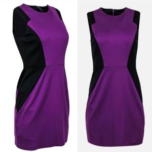 Cynthia Steffe Purple Black Sheath Dress Size 2